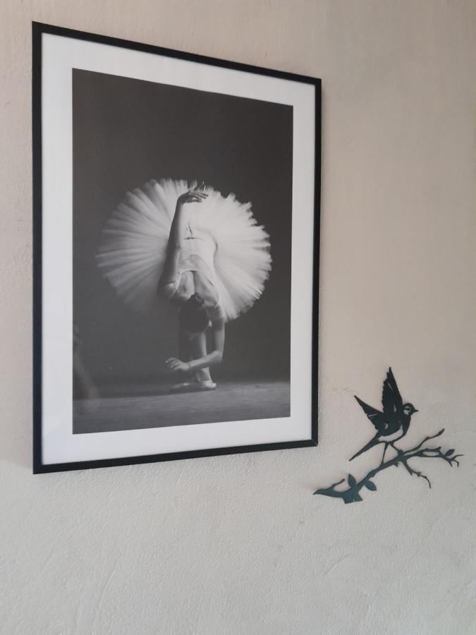 Grottazzolina Ballerina Bianca Bed & Breakfast מראה חיצוני תמונה